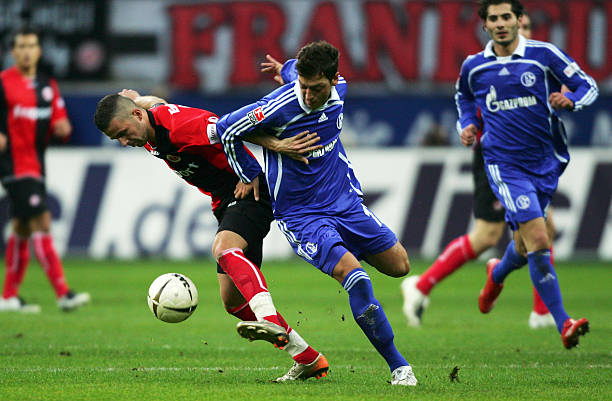 不仅提升了 不仅提升了